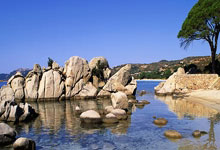 华体会下载-瑞典新星耀眼，欧洲疆场再掀风暴